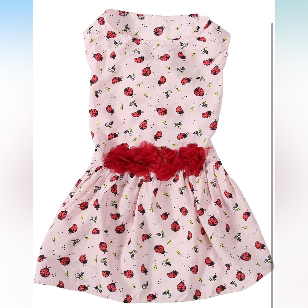 Small Dog Ladybug Print Dress with Red Floral Accent S